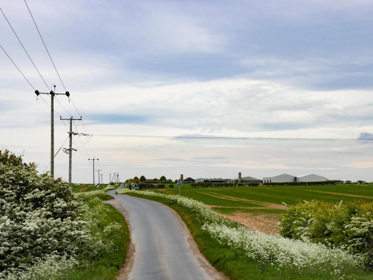 Daisy Nook *